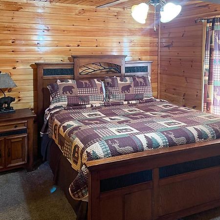 Black Bear Hideaway Cabin 개틀린버그 외부 사진