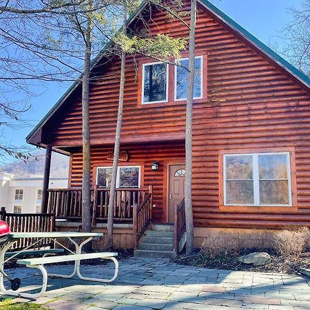 Black Bear Hideaway Cabin 개틀린버그 외부 사진