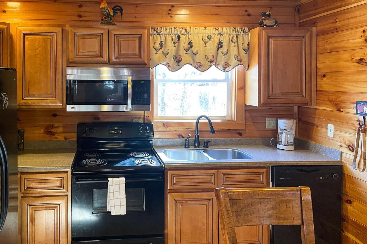 Black Bear Hideaway Cabin 개틀린버그 외부 사진